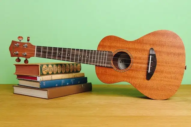 5 Best Ukulele Books To Learn Ukulele