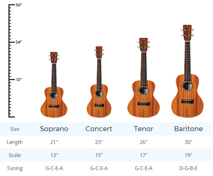 Four standard types of ukuleles