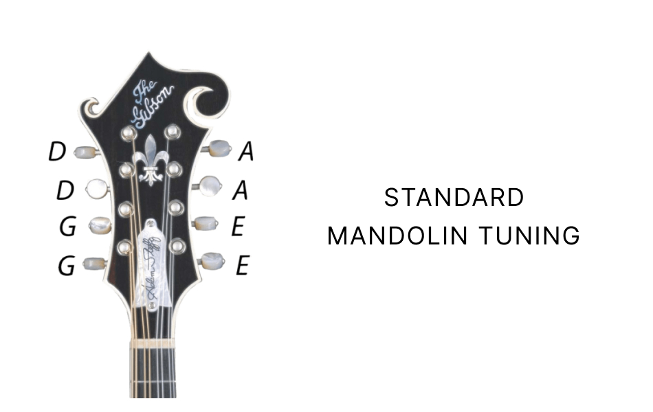 Standard mandolin tuning