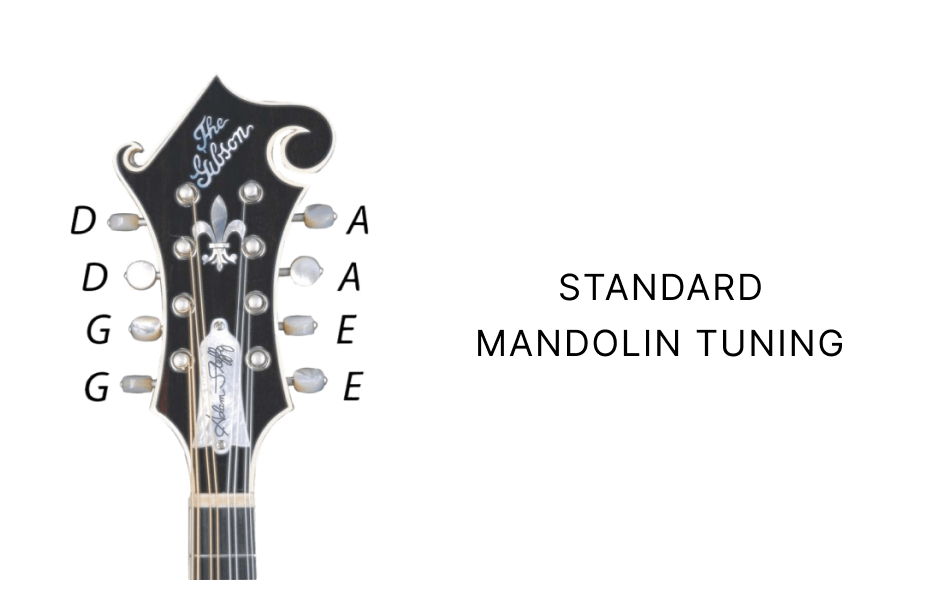 How to Tune a Mandolin