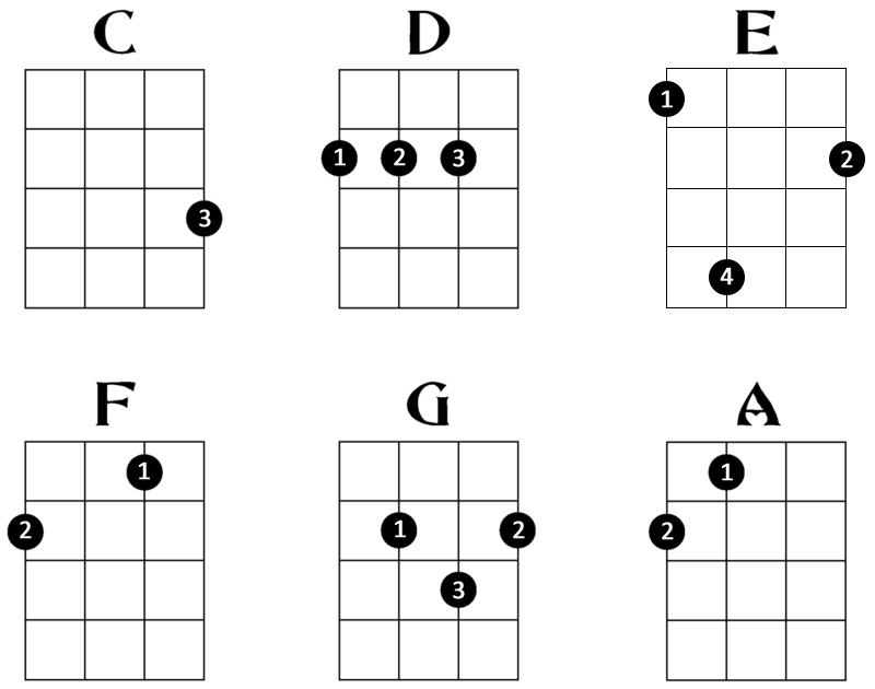 Learning to Play the Chords  Ukulele chords songs, Ukulele