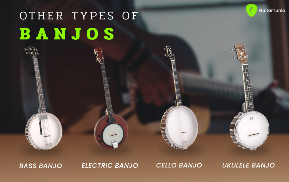 Other types of banjos