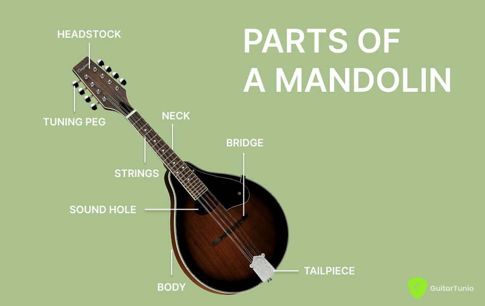 Parts of a mandolin