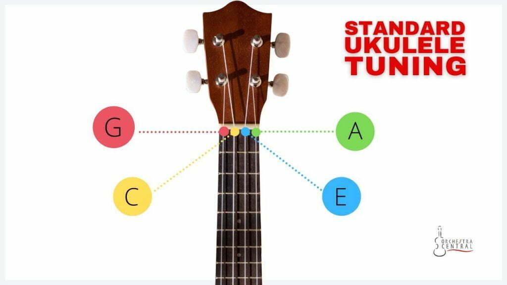 Standard ukulele tuning