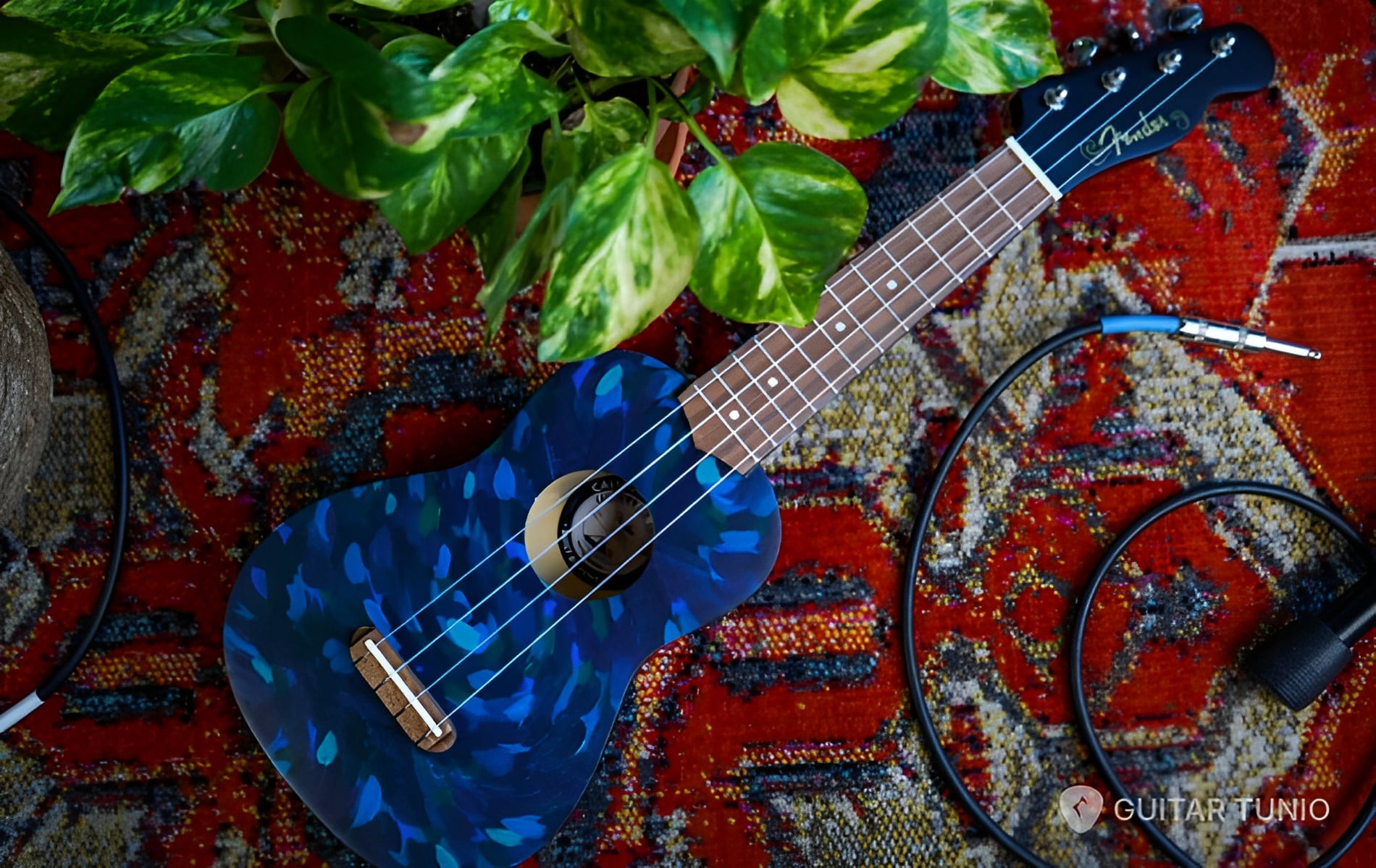 How to Customize Your Ukulele