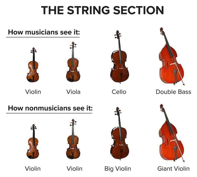 Violin vs cello - giant violin meme