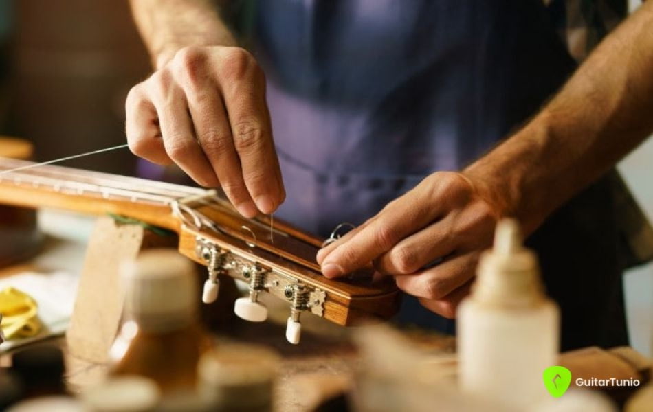 The Enchanting World 12-string standard tuning