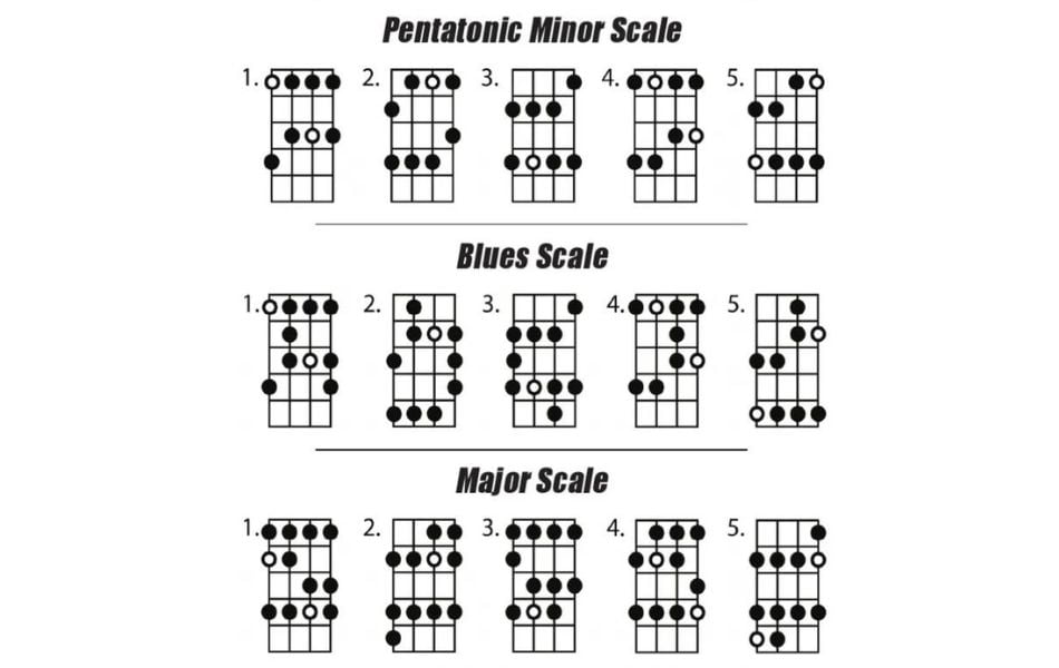 Classification of bass guitar scale