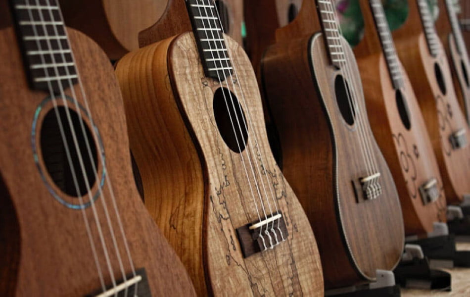 Start your musical journey with a good ukulele.