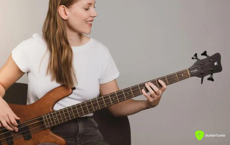 How To The Hipshot Drop D Tuner Bass Operate? Guitar Tuner Guitar Tunio