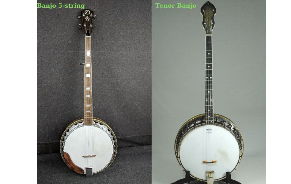 Contrast 4-string banjo chords and 5-string banjo chords