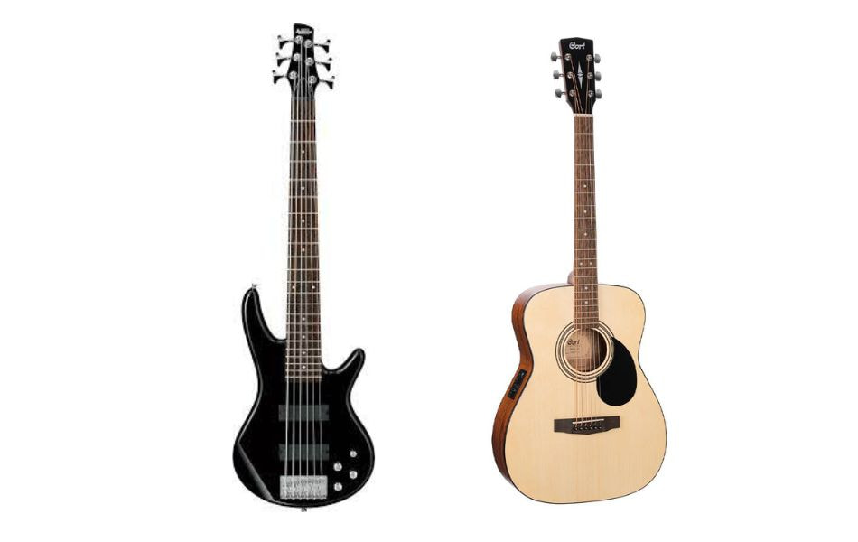 Contrast a 6-string bass guitar and a guitar