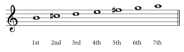 Degrees of the B minor scale