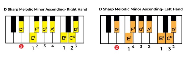 Play D sharp melodic minor ascending on Piano