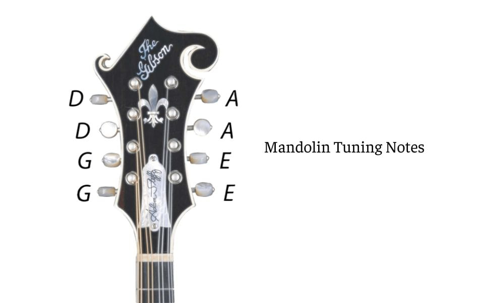 Introduction about notes on mandolin