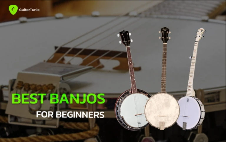 Best Banjos For Beginners Wp