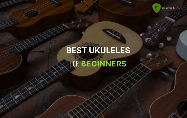 Best Ukuleles For Beginners Wp