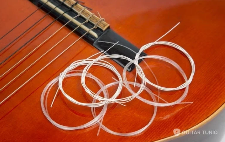 Nylon String Vs Steel String Wp