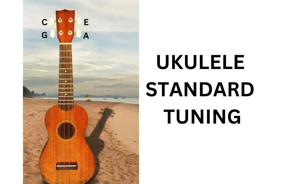 Understanding About Standard Tuning Ukulele