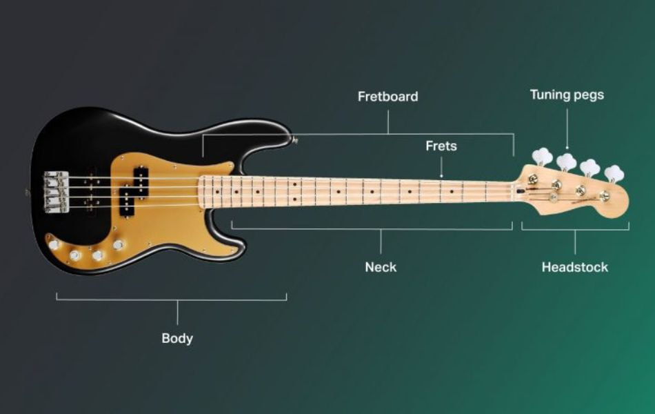Get To Know About Bass Instrument